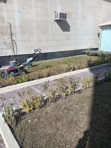 العنايه بالحديقة