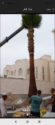 مزارع