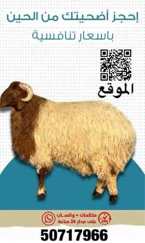بيع وشراء جميع أنواع الأغنام 