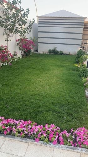 العنايه الحديقه وصيانتها