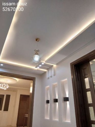 gypsum and paint worke