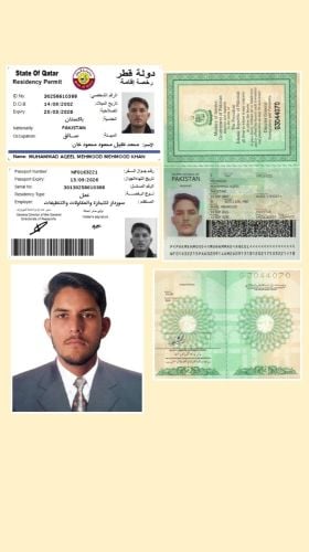 Muhammad Aqeel Mehmood