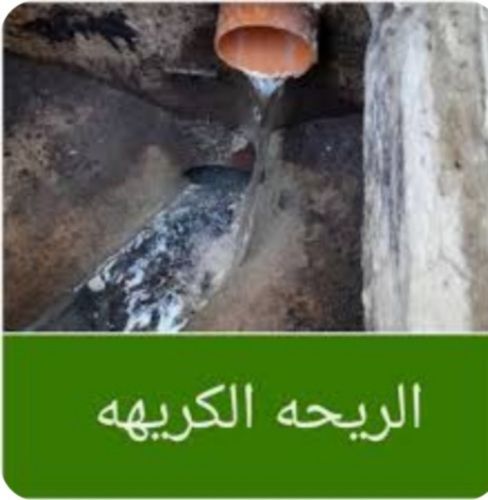 خدمات الصرف الصحي
