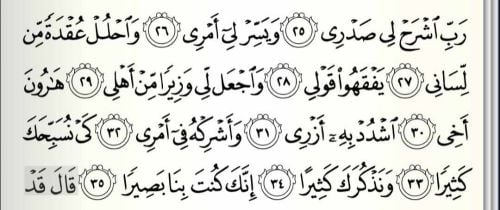 معلمه