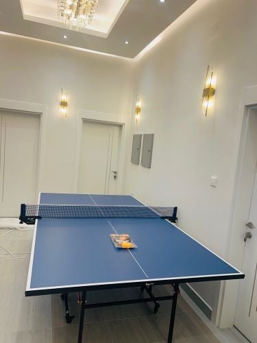 Tennis Table 