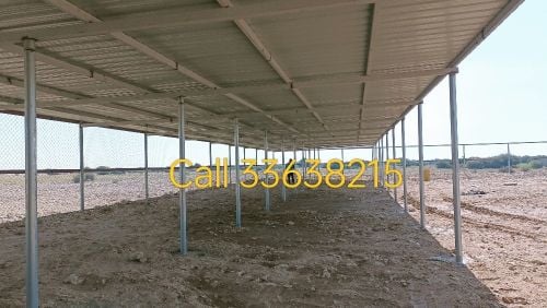 Camel Tobala