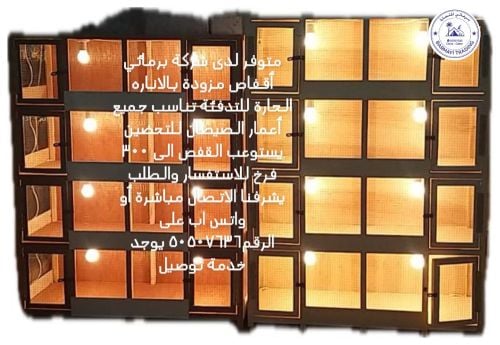 متوفر حاضنات فروخ الدواجن جاهزه