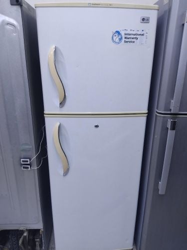 LG medium size Frideg