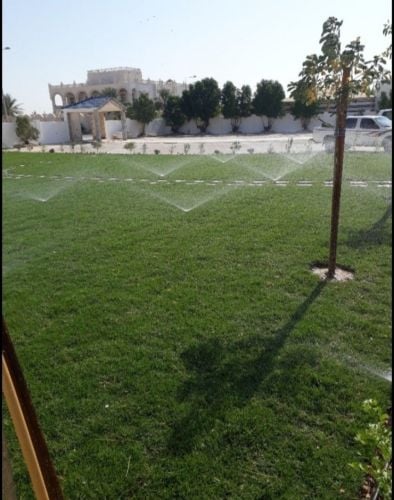عمل شبكات الراي