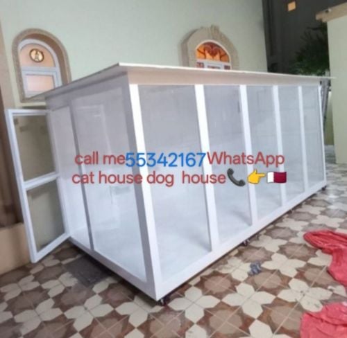 call me WhatsApp cat house no