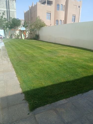 مهندس زراعي