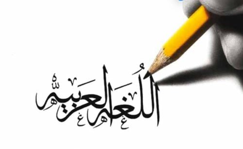 مدرسة لغة عربية لجميع المراحل