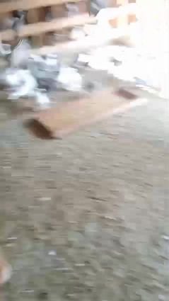 حمام للبدل