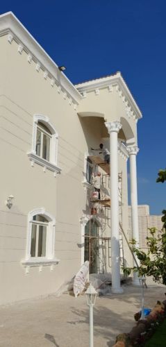 Professional Painting Company