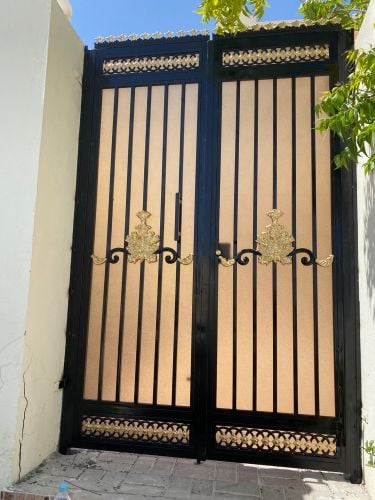الدكتور علاء الدين