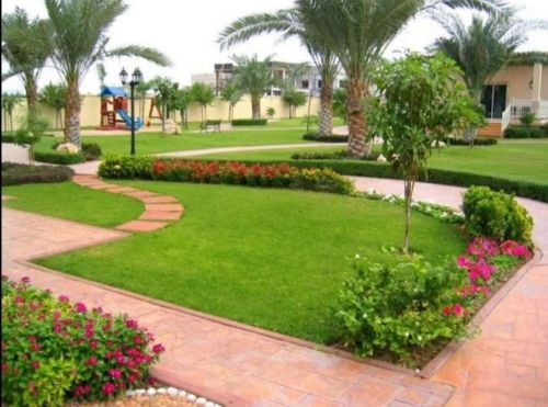 زراعه عشب وترتيب الحديقه وصيانه