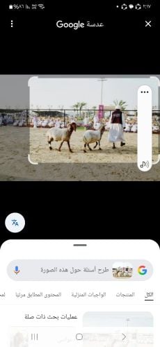احمد