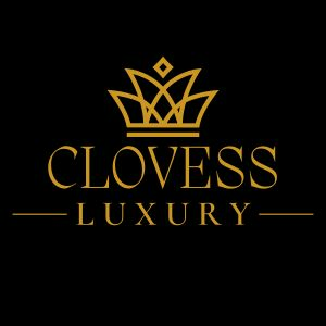 web devloper shopify wordpress