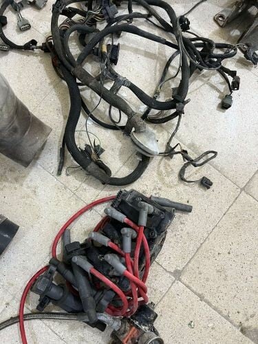 بويوسف 