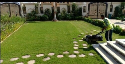 ديكورات وتنسيق حدائق