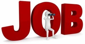Accountant Cum Administrator