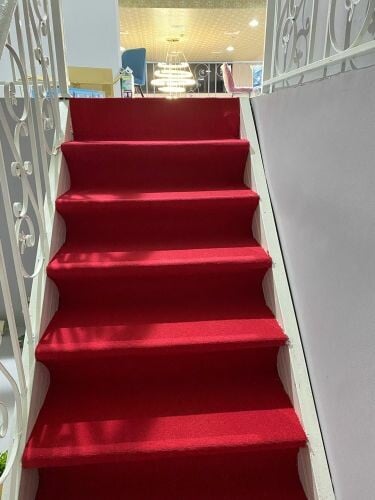 turkeys carpet