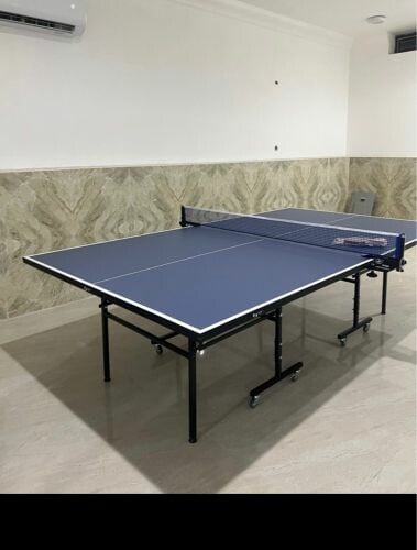 Tennis Table 