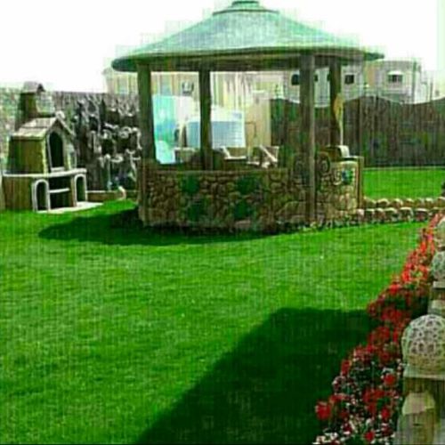 منسق حدائق 55079950