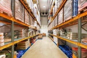 Equipped Food Warehouse