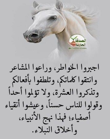 استاذة دينا السعيد 