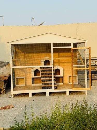 New cage for chiken available 