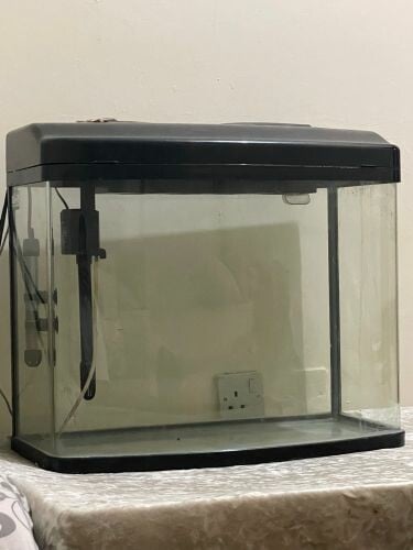 forsell 