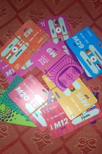 fifa worldcup vip card