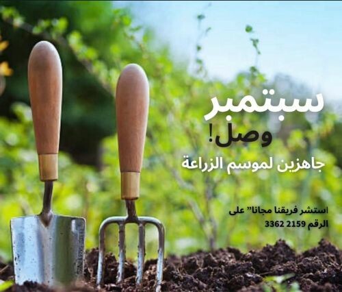زراعة عشب ونباتات موسمية ومستدامة