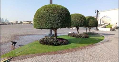 صيانه شهريه ورش المبيدات للفيل