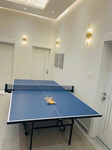 tennis table 