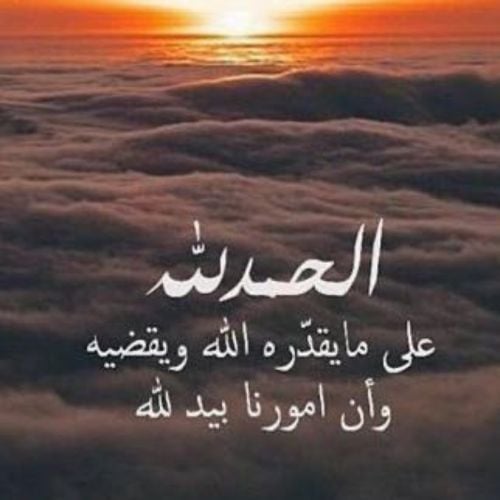 محمد ابراهيم البشير