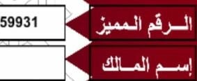رقم سيارة