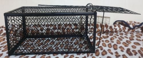 خداشه لصيد جميع أحجام الفئران