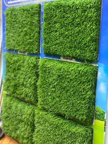 Grass Carpet
