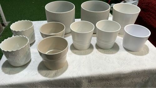 اصيص نبتات مختلفة 