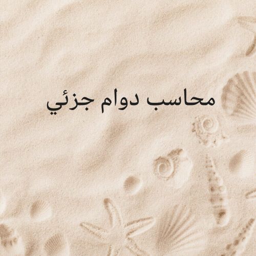 محاسب عام مصري
