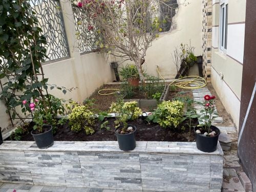 Albaloshi home Gardener