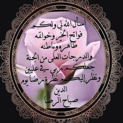 تخليص جمركي جميع منافذ الدوله الج
