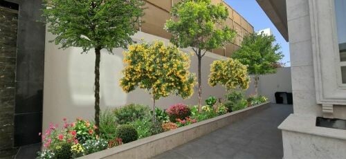 زراعه