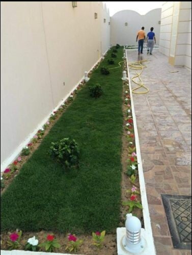 حديقه