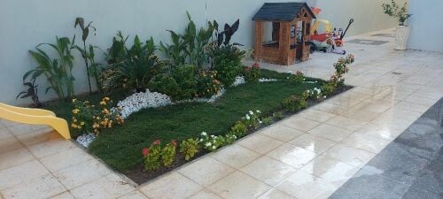 حديقه صغيره