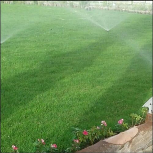 عشب أخضر وشبكه ري اتوماتيك