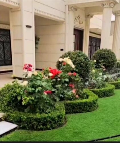 ورود و أشجار