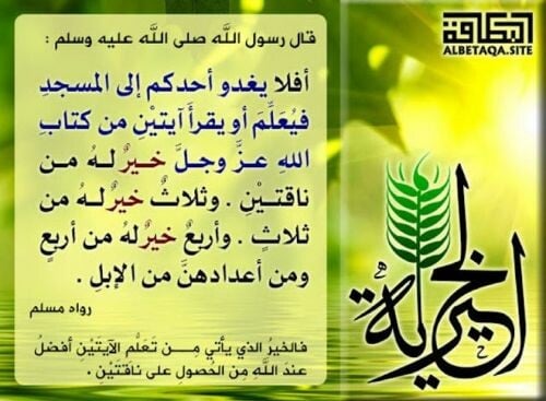 مدرس ومحفظ( ثانوي، وتأسيس)